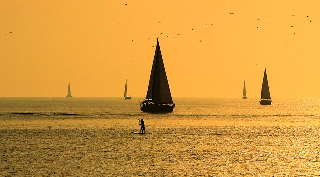 sailing & paddling at the golden hour