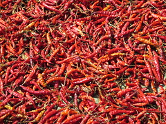 Chili chili <a style="margin-left:10px; font-size:0.8em;" href="http://www.flickr.com/photos/83080376@N03/15863755060/" target="_blank">@flickr</a>