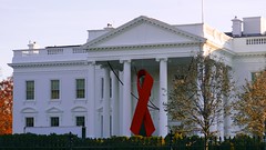 Commemorative Red Ribbon White House 2014 World AIDS Day 50183