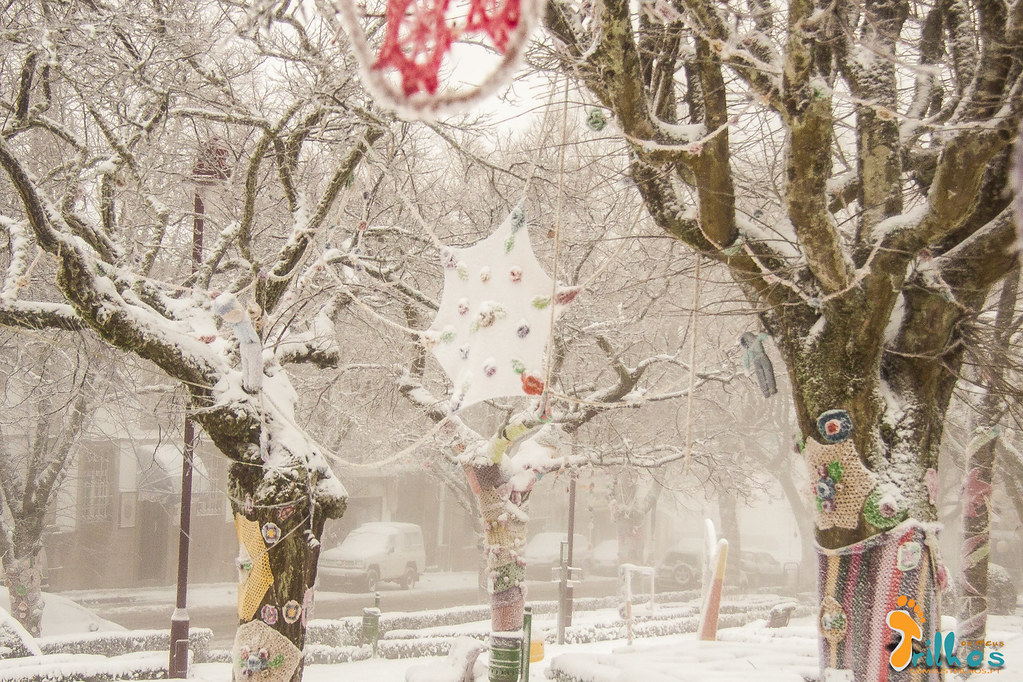 Neve na Cidade da Guarda - janeiro - 2015-31
