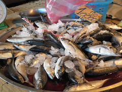 Il est frais mon petit poisson du Mekong <a style="margin-left:10px; font-size:0.8em;" href="http://www.flickr.com/photos/83080376@N03/15889599396/" target="_blank">@flickr</a>