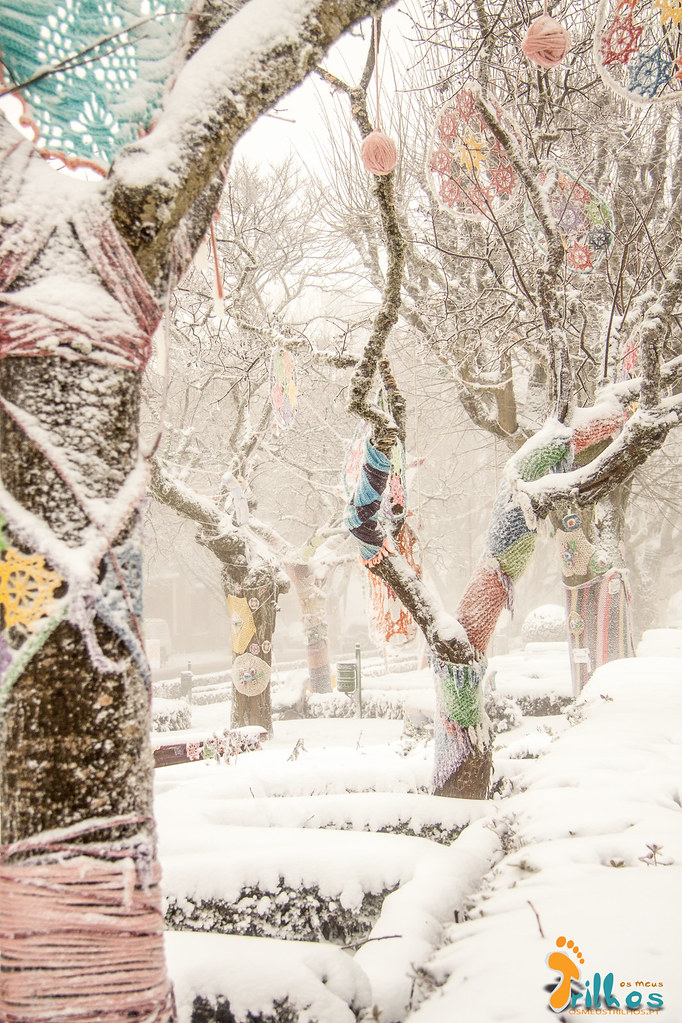 Neve na Cidade da Guarda - janeiro - 2015-32