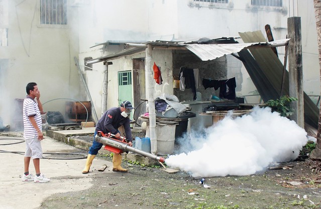 Con la fumigación constante que realizan las Brigadas de la Prefectura la meta es combatir la proliferación de mosquitos y de otros insectos que transmiten enfermedades como dengue y chikungunya.
