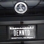 DEMNTD Custom License plate on GT500 with 991 RWHP <a style="margin-left:10px; font-size:0.8em;" href="http://www.flickr.com/photos/65234596@N05/16094113381/" target="_blank">@flickr</a>