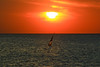 wind-surfing & sailing at sunset - Hertzelia beach
