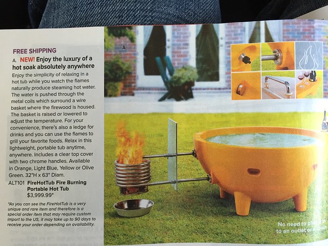 Skymall parent company files Chapter 11: a true loss.