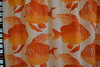 The Goldfish Fabric • <a style="font-size:0.8em;" href="http://www.flickr.com/photos/128968356@N07/15062428593/" target="_blank">View on Flickr</a>