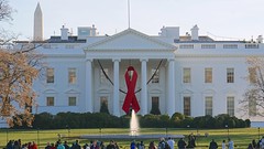 Commemorative Red Ribbon White House 2014 World AIDS Day 50182
