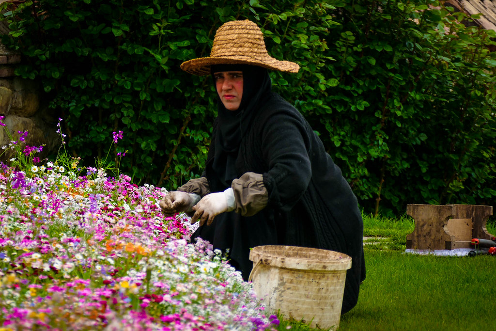 : Flowers care, Bodbe Monastery