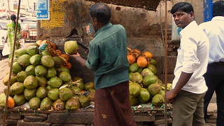 India - Tamil Nadu - Madurai - Coconut Seller