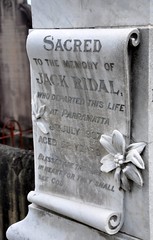 Mays Hill - Jack Ridal