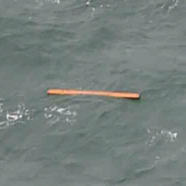 MISSING AIRASIA  SEARCH UPDATE :    OVER 40 DEBRIS OR BODIES FOUND WHERE AIRASIA PLANE #QZ8501 DISAPPEARED