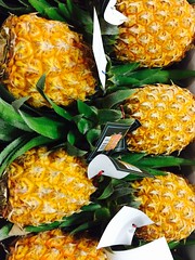 Ananas Victoria, Import