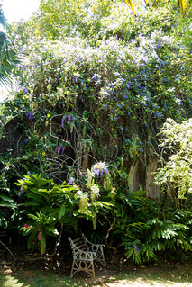 Victoria Botanical Gardens, Victoria, Mahe