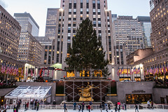 2014 Rockefeller Tree Installation in New York City