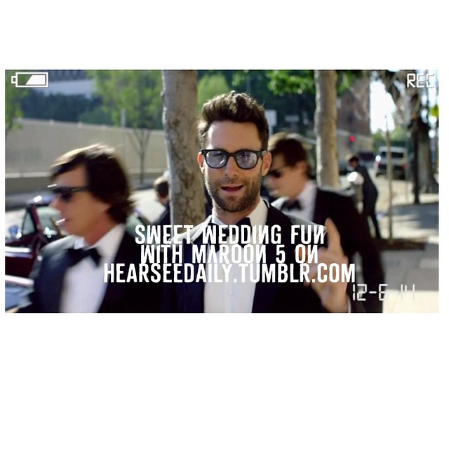 Maroon 5 Sugar on www.hearseedaily.tumblr.com #maroon5 #sugar #pop #popculture #popcultureblog #rock #music #musicblog #blog #junop #aj #ajjunop #hearseedaily #adamlevine