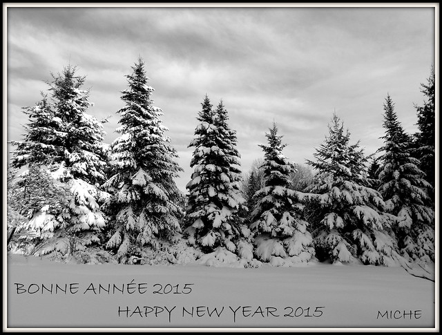 Mes meilleurs voeux pour lannée 2015é  Wishing everybody a happy &healthy 2015