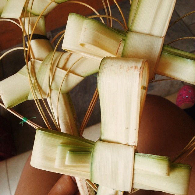Blessed Palm Sunday Everyone 😉🙏