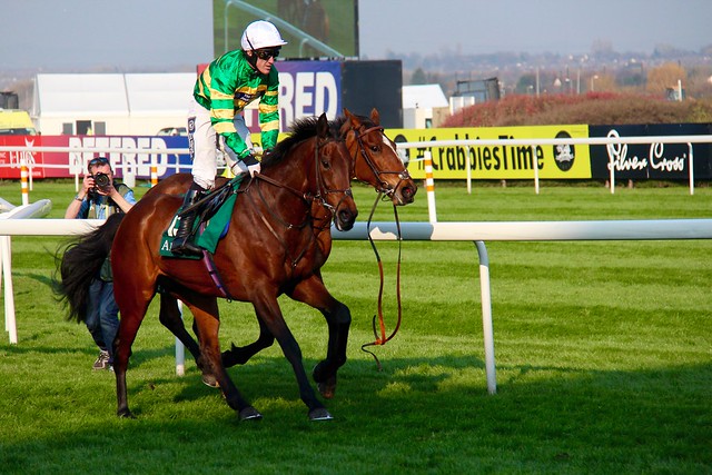 AP McCoy and unidentified loose horse