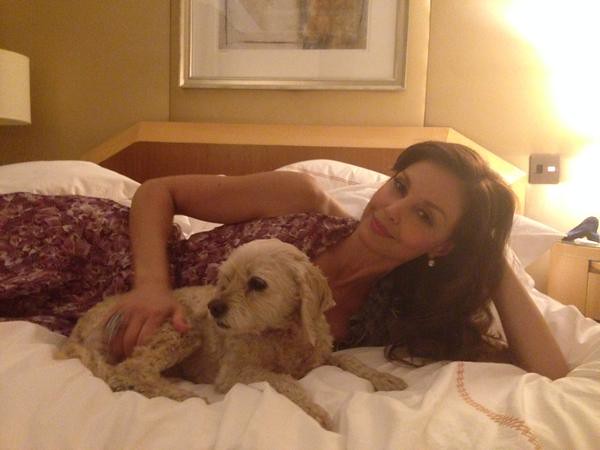 ASHLEY JUDD - Please join us in wishing #Shug the happiest birthday a dog could ever have!!  17 Mar 15