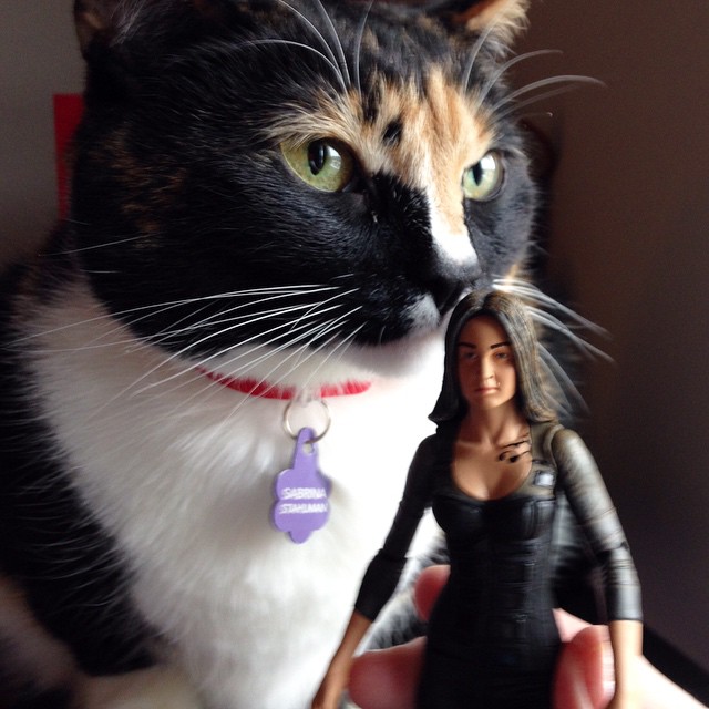 Bri and her new #Tris doll! for our #divergent #insurgent movie day! #TrisPrior #shailenewoodley #actionfigure #actionfigures #cats #catlover #catlovers #caturday #pets #petstagram #instapets #instacats #catstagram #calico  😻🐰❤