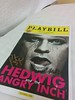 Signed Hedwig Playbill