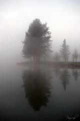 Brouillard sur l'étang de Lambres