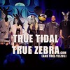 True official press photo from Tidal announcement. #truezebra #tidalforall