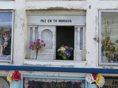 Cimetière Punta Arenas <a style="margin-left:10px; font-size:0.8em;" href="http://www.flickr.com/photos/83080376@N03/17138312888/" target="_blank">@flickr</a>