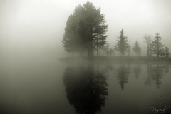 Brouillard sur l'étang de Lambres