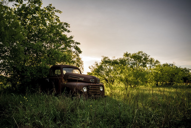 auto old sunset horse sun classic ford abandoned field grass car rural truck work vintage golden evening nikon rust automobile texas shine place decay tx duty rusty pickup tokina final pasture era vehicle resting f3 heavy 1950 rurex d7100 1116mm texploration