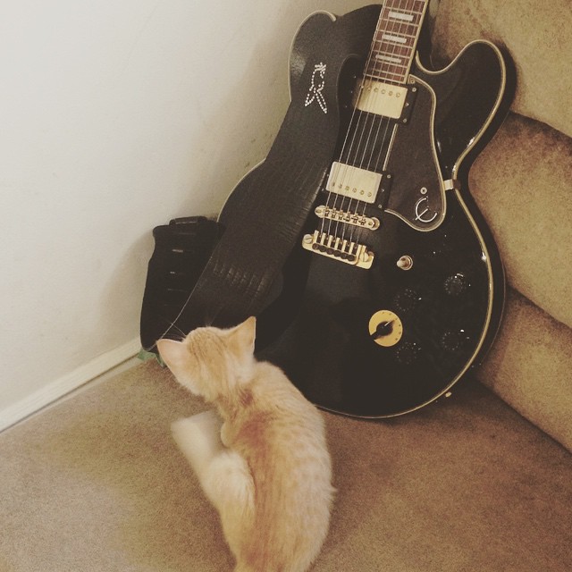 Even the kitty loves BB KING!!! #rip #bbking #legend #Lucille