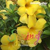 Made with @instaweatherpro Free App! #instaweather #instaweatherpro #weather #wx #panamacity #panamacity #day #rain #panamá #nature #spring #goodweather #flowers #havingfun #earth #great #pty #PA