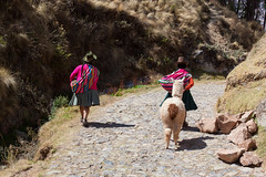 The Walk to Saksaywaman