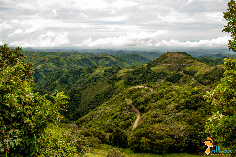 Monteverde. verde Luxuriante na Costa Rica