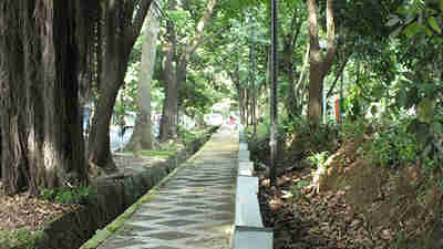 Hutan Kota Ahmad Yani