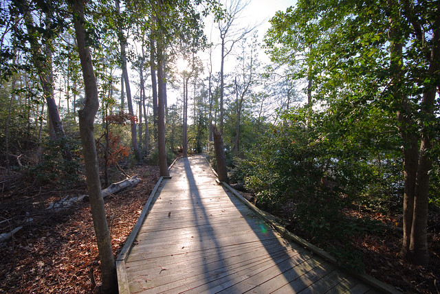 Boardwalk along Mulberry Creek at Belle Isle State Park