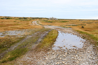 Road to Black Eagle Camp Monument near Stanley / Falkland Islands