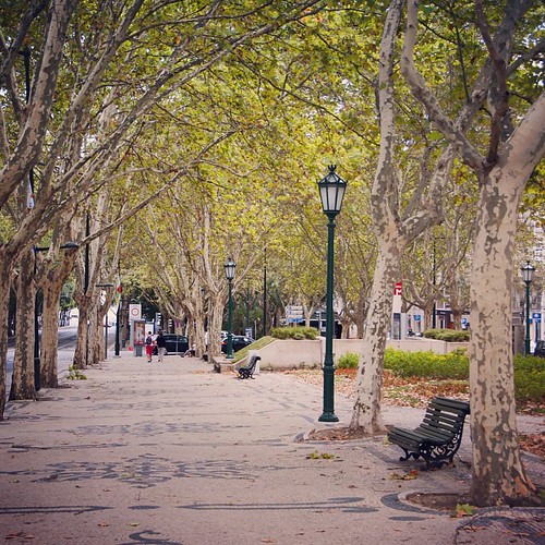       ... 2012     #Travel #Lisbon #Lisboa #Portugal #2012 #Street #Trees #Bench ©  Jude Lee