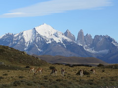 Torres del Paine <a style="margin-left:10px; font-size:0.8em;" href="http://www.flickr.com/photos/83080376@N03/17326484571/" target="_blank">@flickr</a>