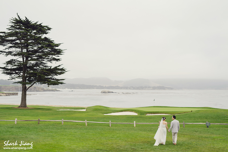 舊金山海外婚紗,舊金山,婚攝鯊魚,自助婚紗,海外婚禮攝影