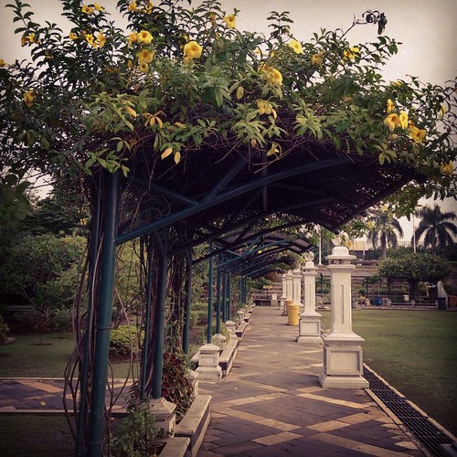   ... #Travel #Surabaya #Indonesia #Monument #Park #Road #Flower ©  Jude Lee