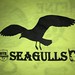2019 Spring Soccer D2 Seagulls