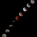 Composite of the January 20 2019 lunar eclipse from Tucson, Arizona