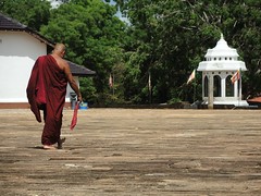 Anuradhapura, Sri LankaTNW1