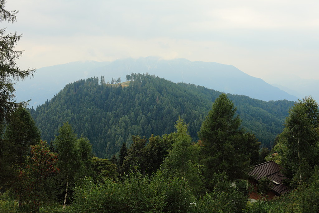 : green Trentino