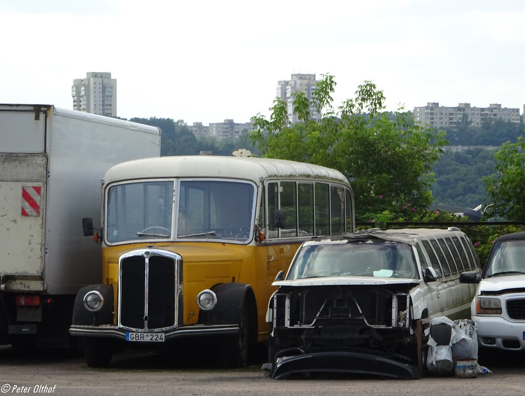 : Bus & Limousines