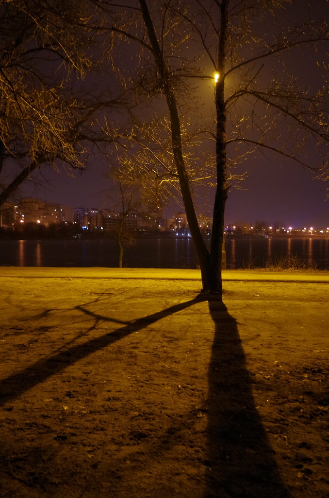 : Voronezh at night