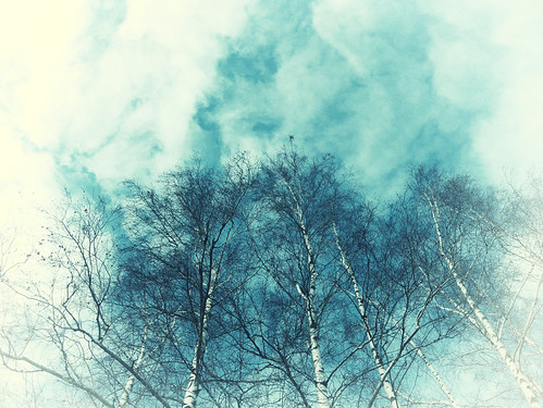 #Winter #Poetry ©  NO PHOTOGRAPHER