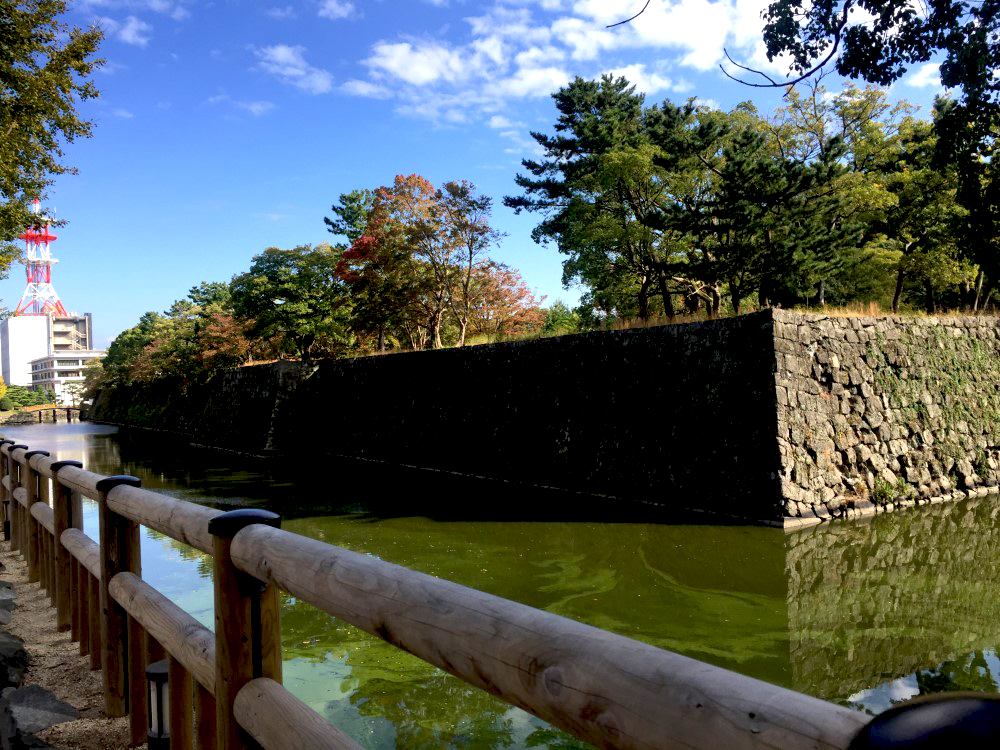 和歌山∥日本百大名城和歌山城(Wakayama Castle)︱天守閣︱和歌山歷史館 11 46873489634 bb42c31cdc o